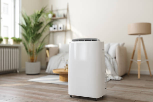 Best Ductless Mini-Split Systems in Crystal, MN